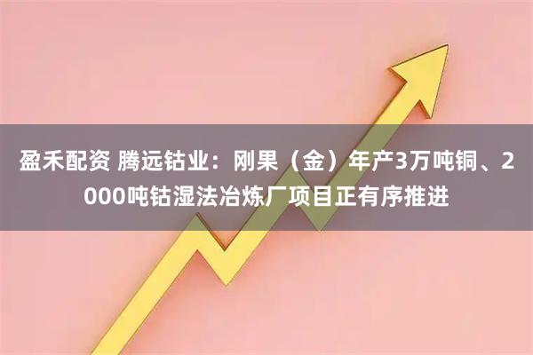 盈禾配资 腾远钴业：刚果（金）年产3万吨铜、2000吨钴湿法冶炼厂项目正有序推进
