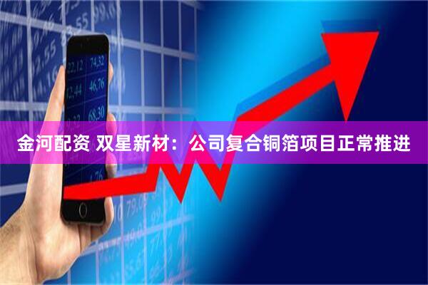 金河配资 双星新材：公司复合铜箔项目正常推进
